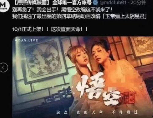 现在播放成人片视频,揭秘成人片背后的故事
