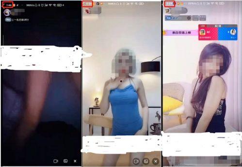 成人无码h视频软件大全,热门应用盘点与使用指南