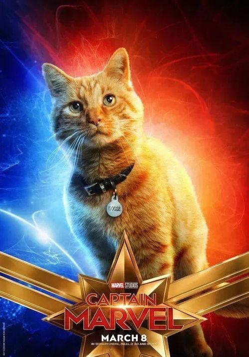 猫改成人插画视频,猫改成人插画视频的奇幻之旅