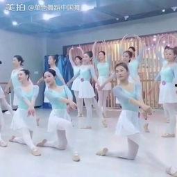 幼师考试成人舞蹈视频,成人舞蹈视频教学解析