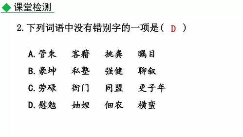 成人认字自学视频教学下载