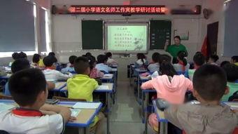 成人钓鱼课程视频免费播放,成人钓鱼课程视频大放送