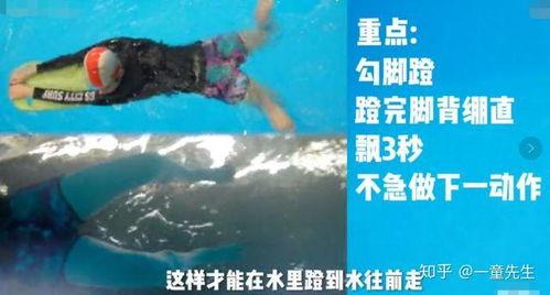 转场成人游泳视频教程,成人游泳入门转场教程详解