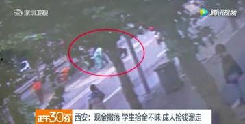 成人捡钱的视频大全集,成人捡钱视频大全集精彩回顾