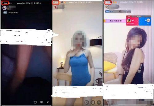 成人卵蛋视频试看