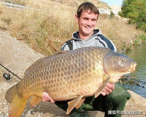 鲤鱼化成人形视频,奇观视频揭秘鲤鱼化成人形之谜