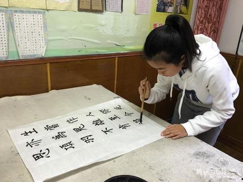 书法课成人上课视频,书法课成人学员学习心得与技巧分享