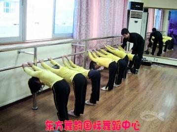 成人舞蹈舞韵视频教学